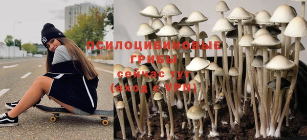 марихуана Белокуриха